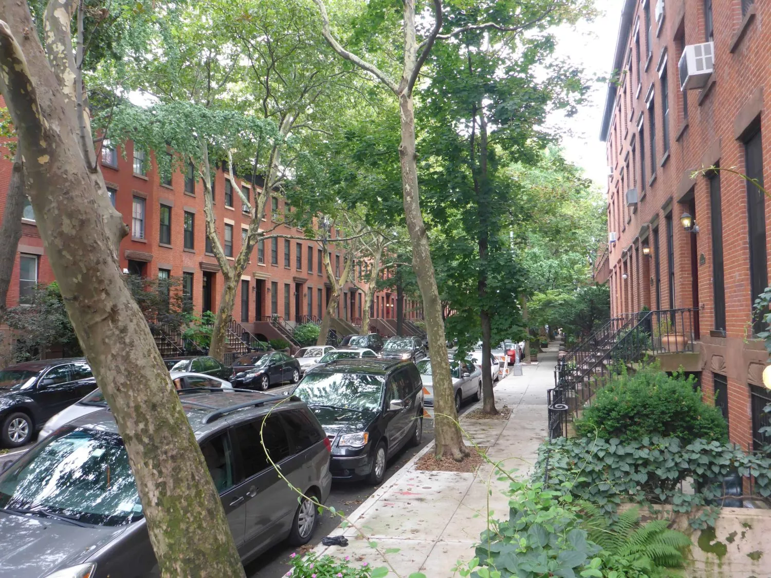 Top 20 Brooklyn Neighborhoods