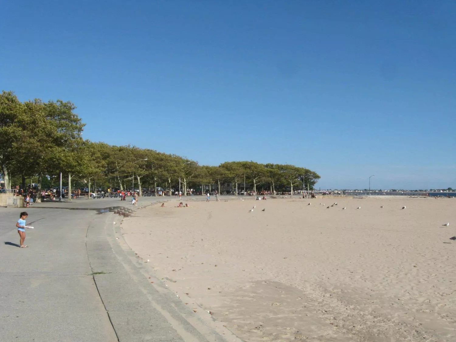 Top 20 Brooklyn Neighborhoods
