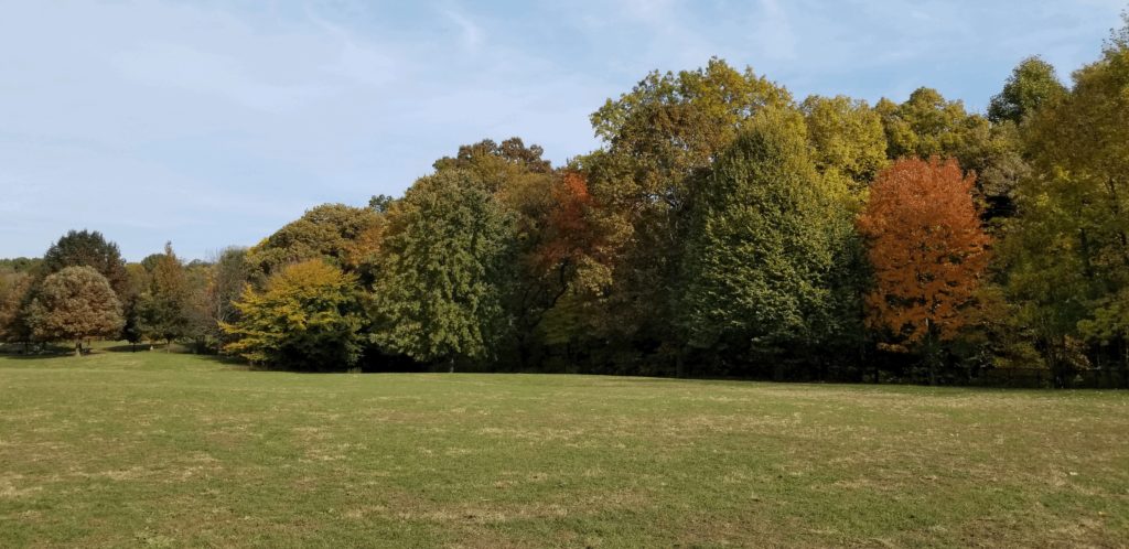 prospect park during the fall