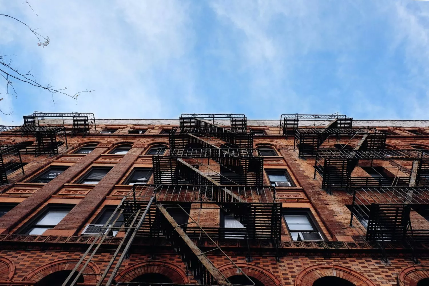 Clinton Hill, Brooklyn NYC Neighborhood Guide 2024
