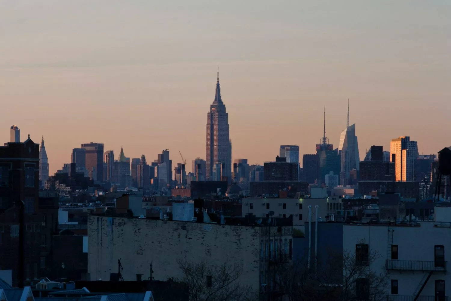 bedford stuyvesant skyline