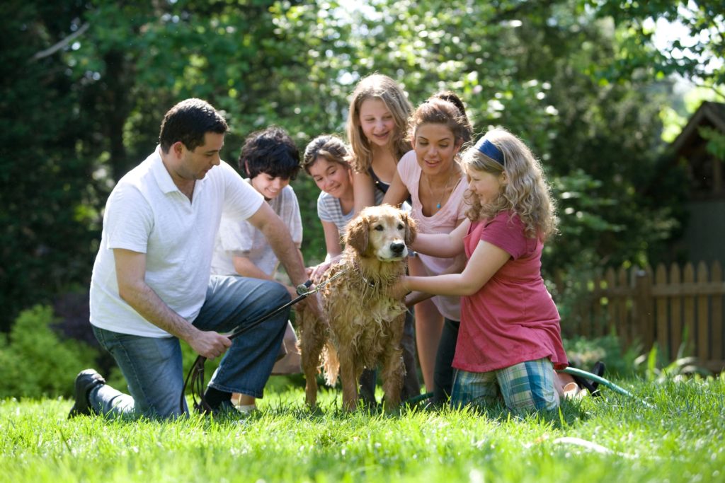 family outside on a sunny day giving their golden retriever a bath on a green lawn