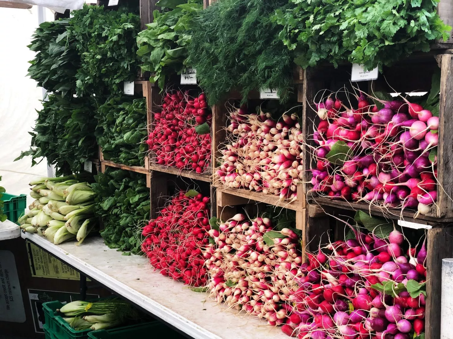 Park Slope Brooklyn Neighborhood Guide