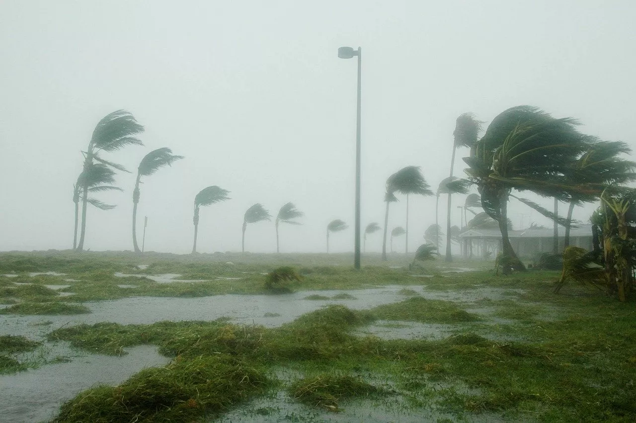 Moving from New York to Florida: What You Need to Be Aware Of
