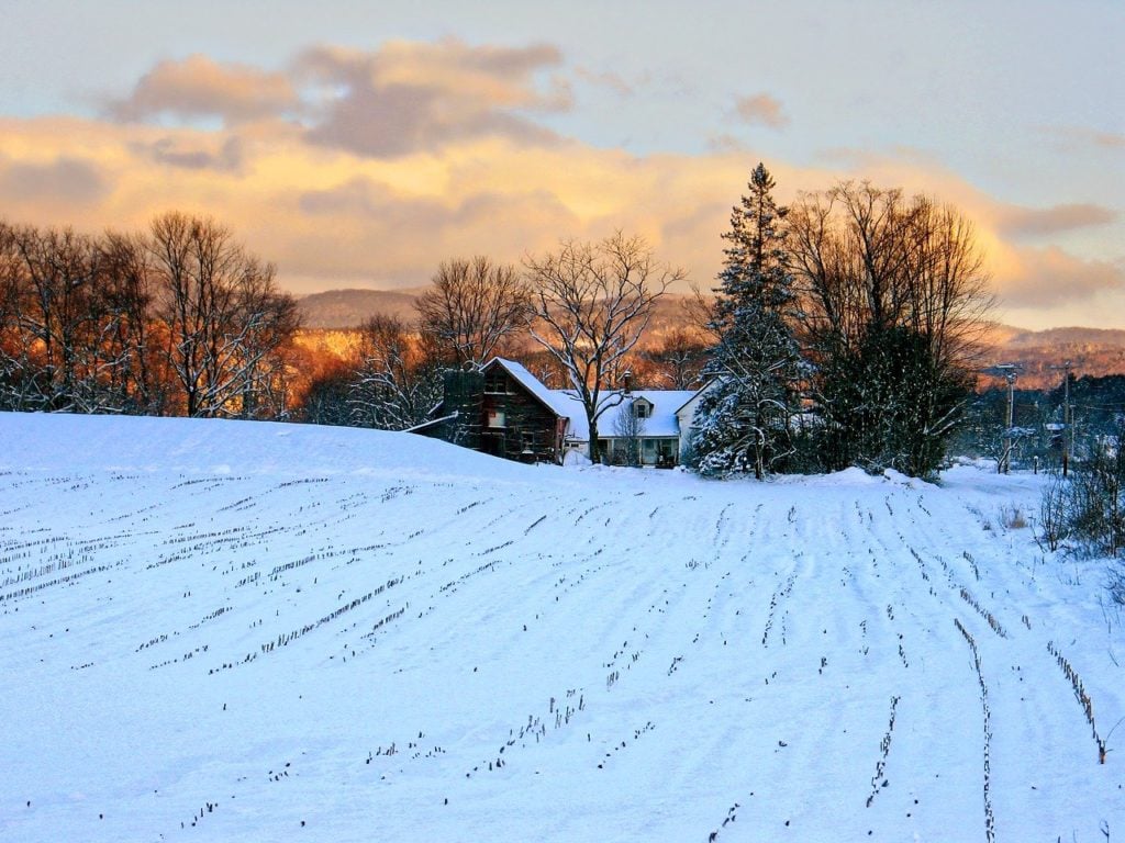 vermont farm winter