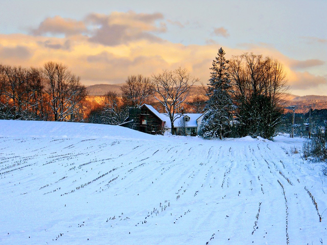 vermont farm winter