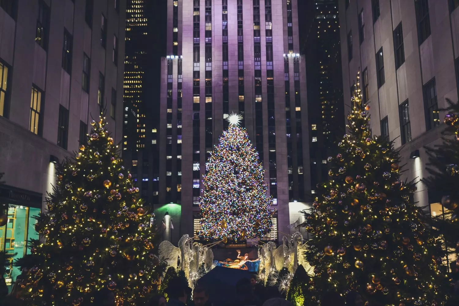 christmas tree at rockefeller plaza