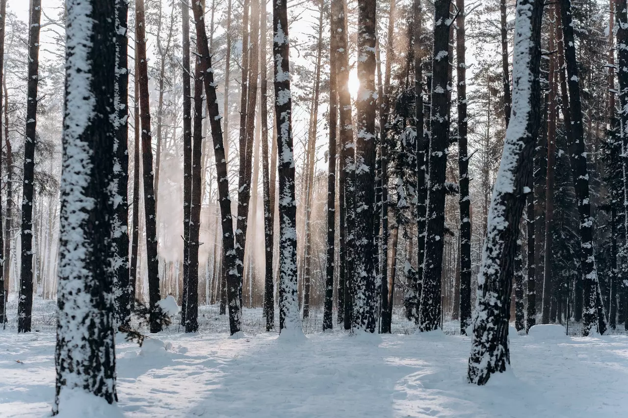 Best Skiing Near NYC: Top 12 Resorts