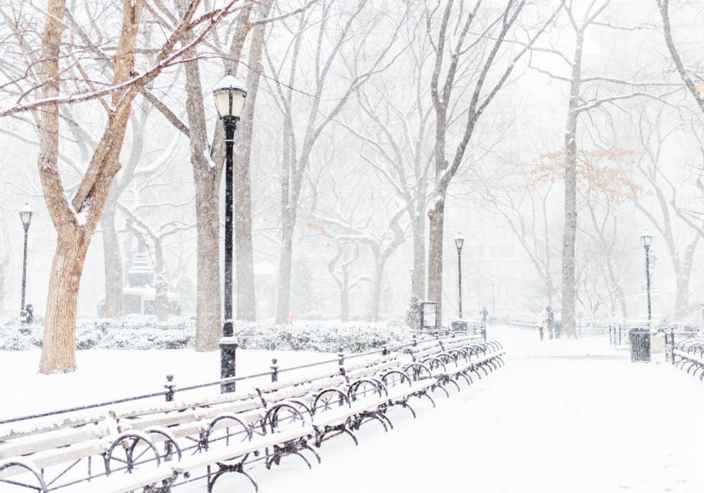central park in a snowstorm