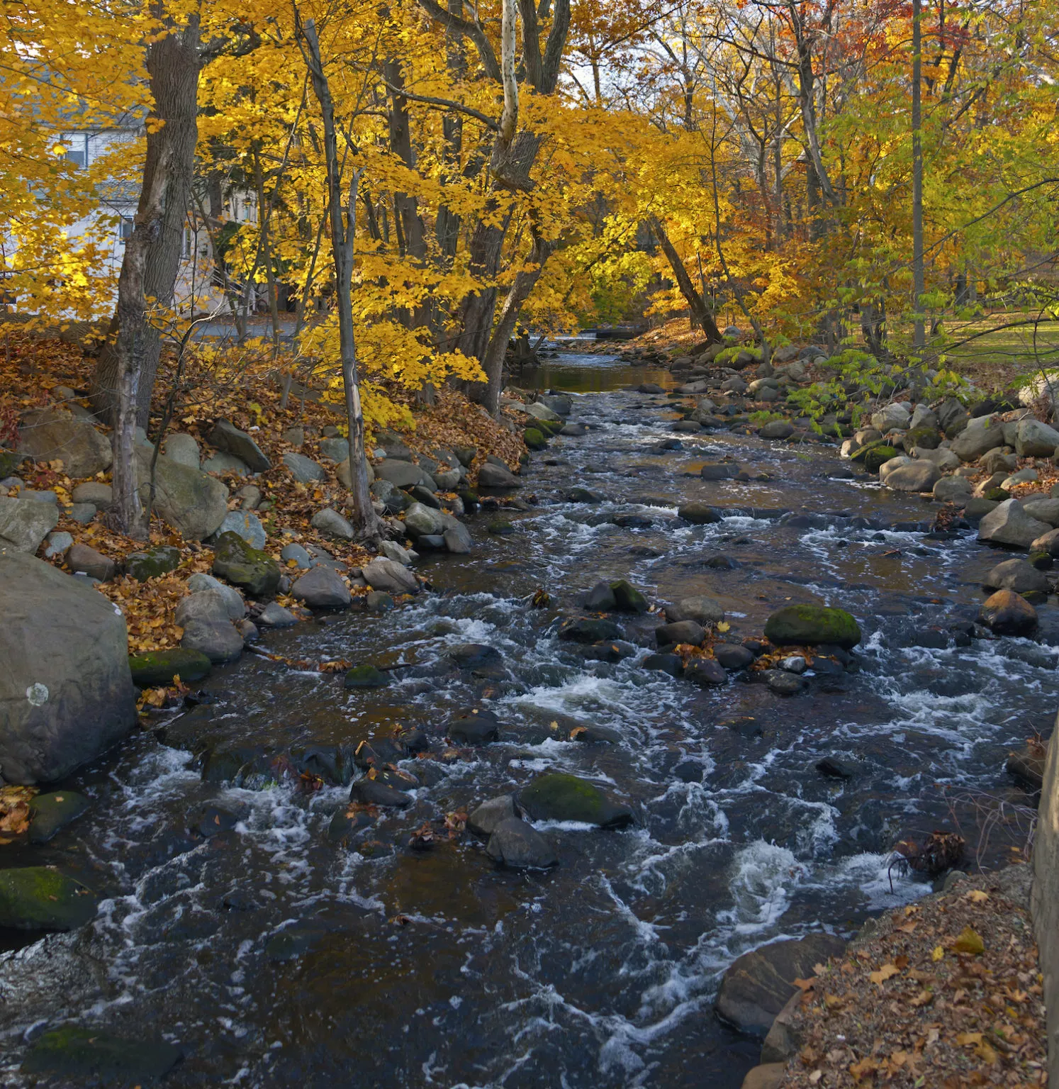 10 Best Places to Live in New Jersey