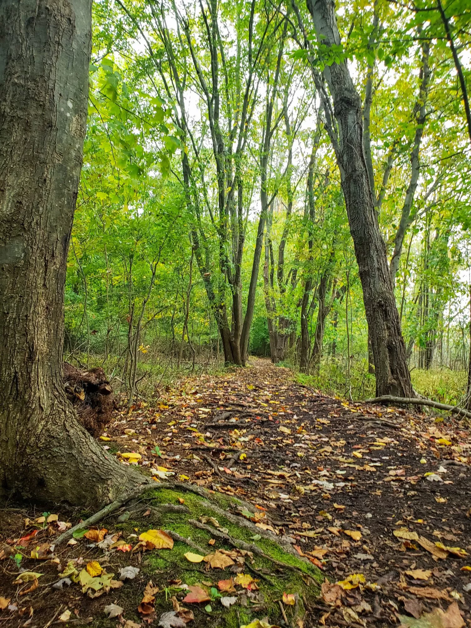 10 Best Places to Live in New Jersey