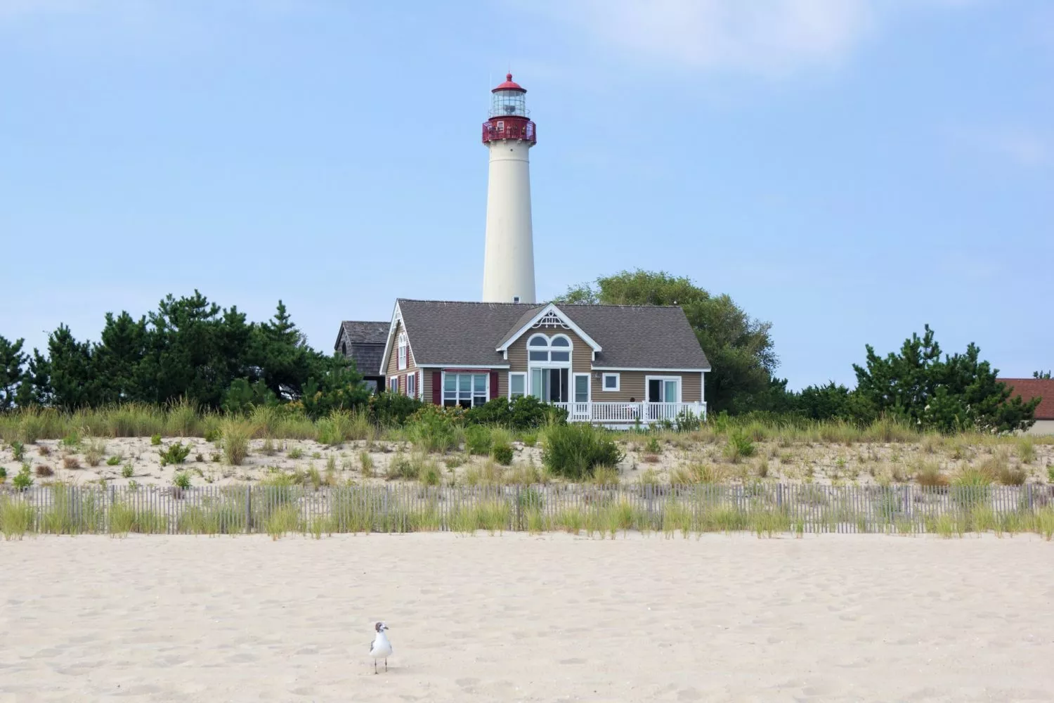 The 8 Best Things to do in New Jersey in the Summertime