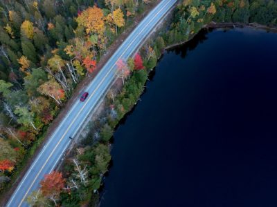 Road Meandering through forest