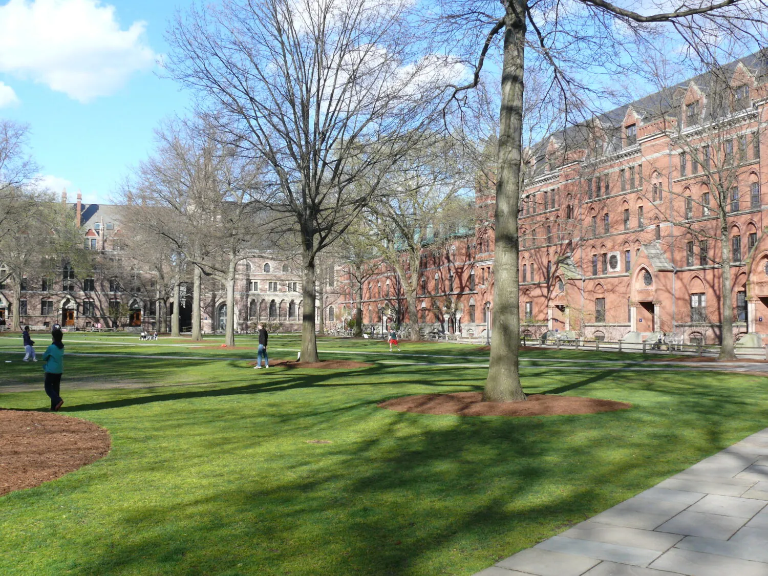 New Haven, CT Neighborhood Guide 2024
