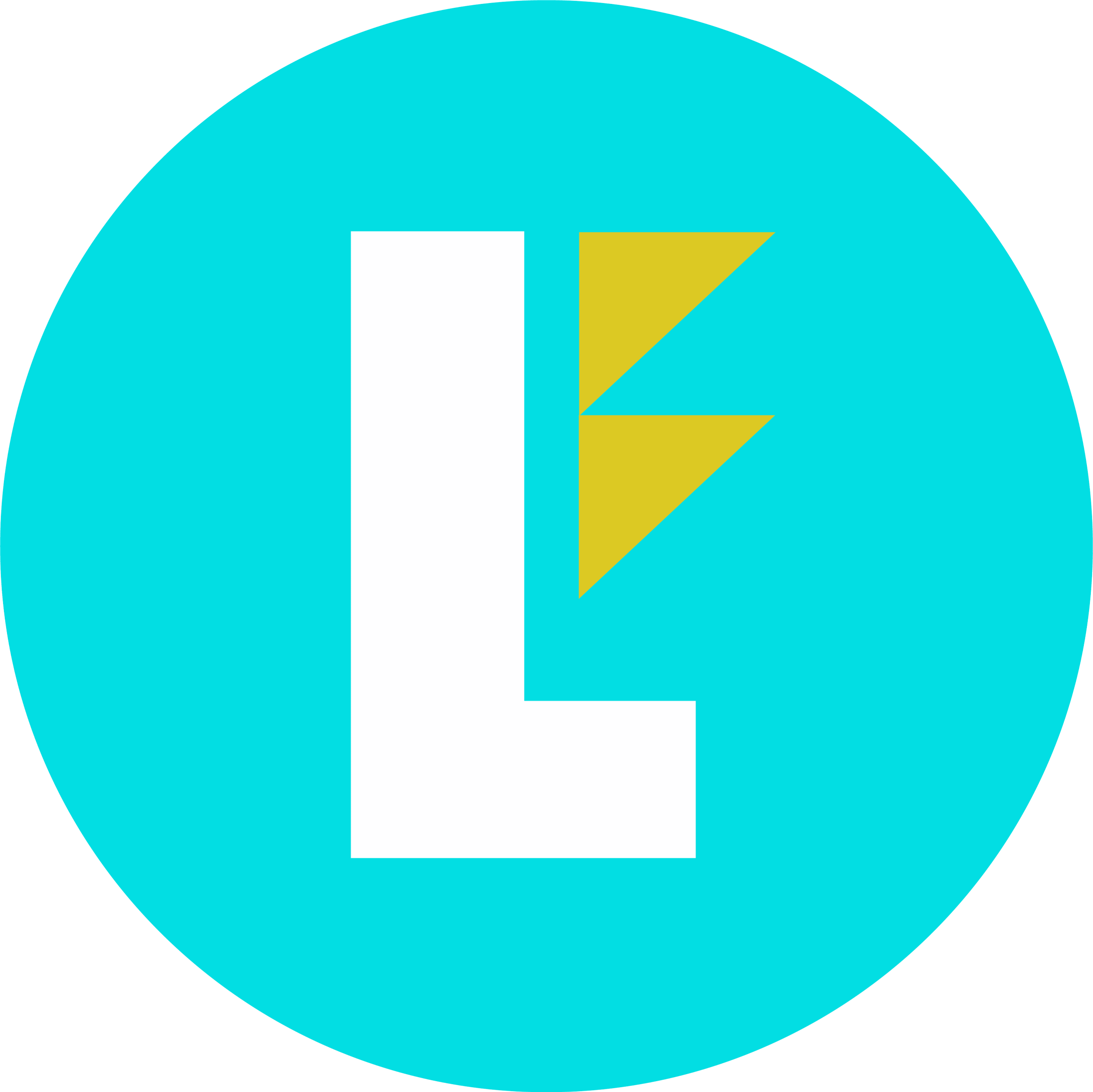 Leerform fine art movers NYC